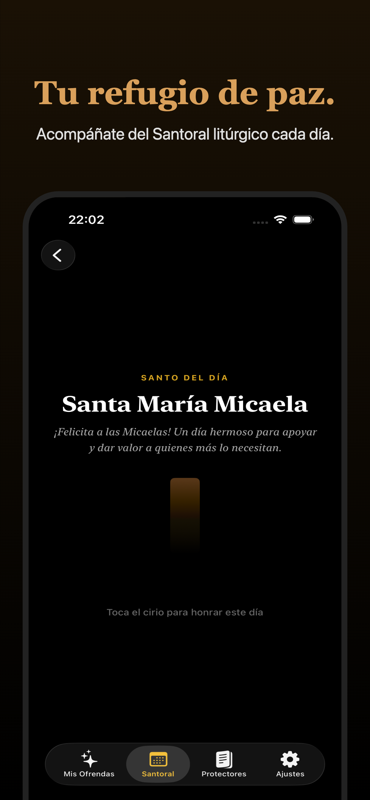 Captura de Pantalla 7