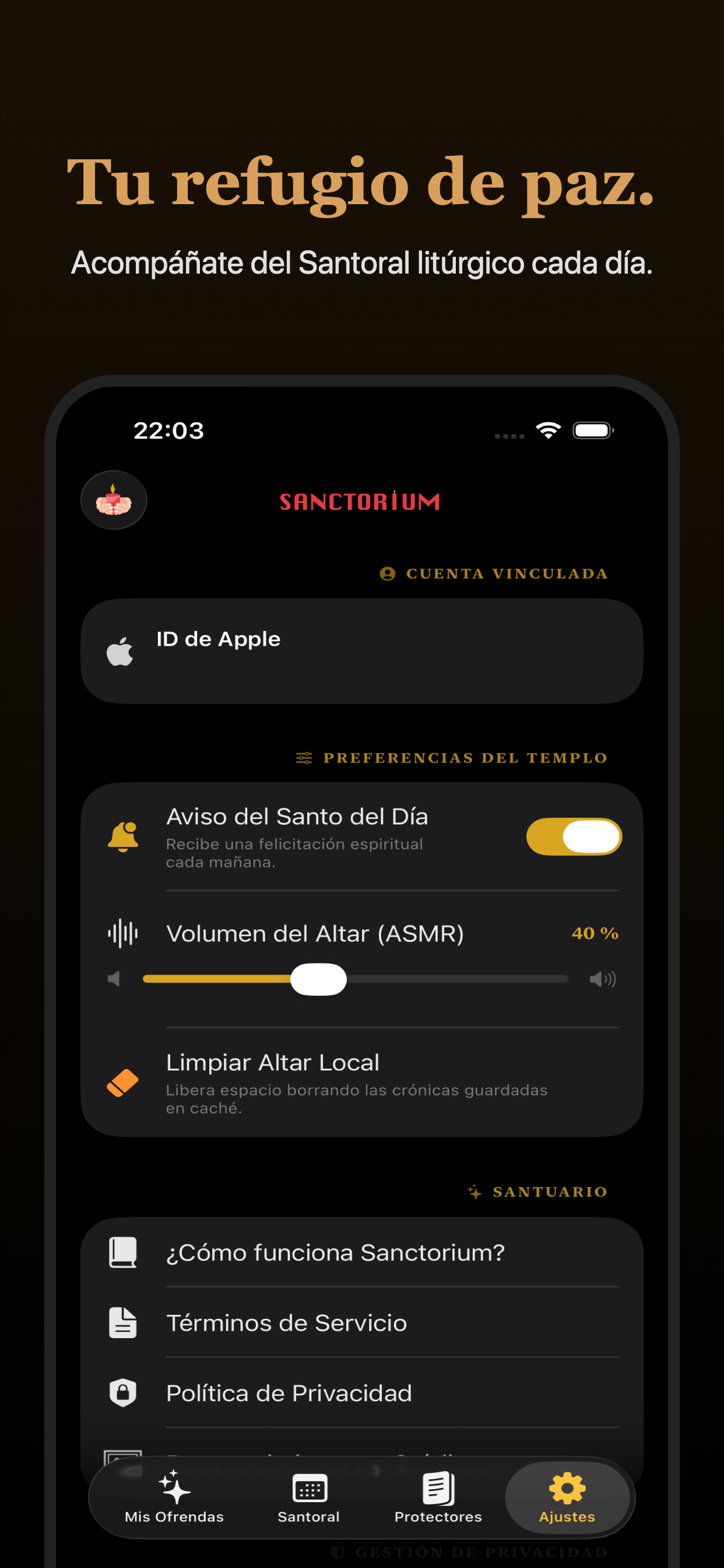 Captura de Pantalla 9